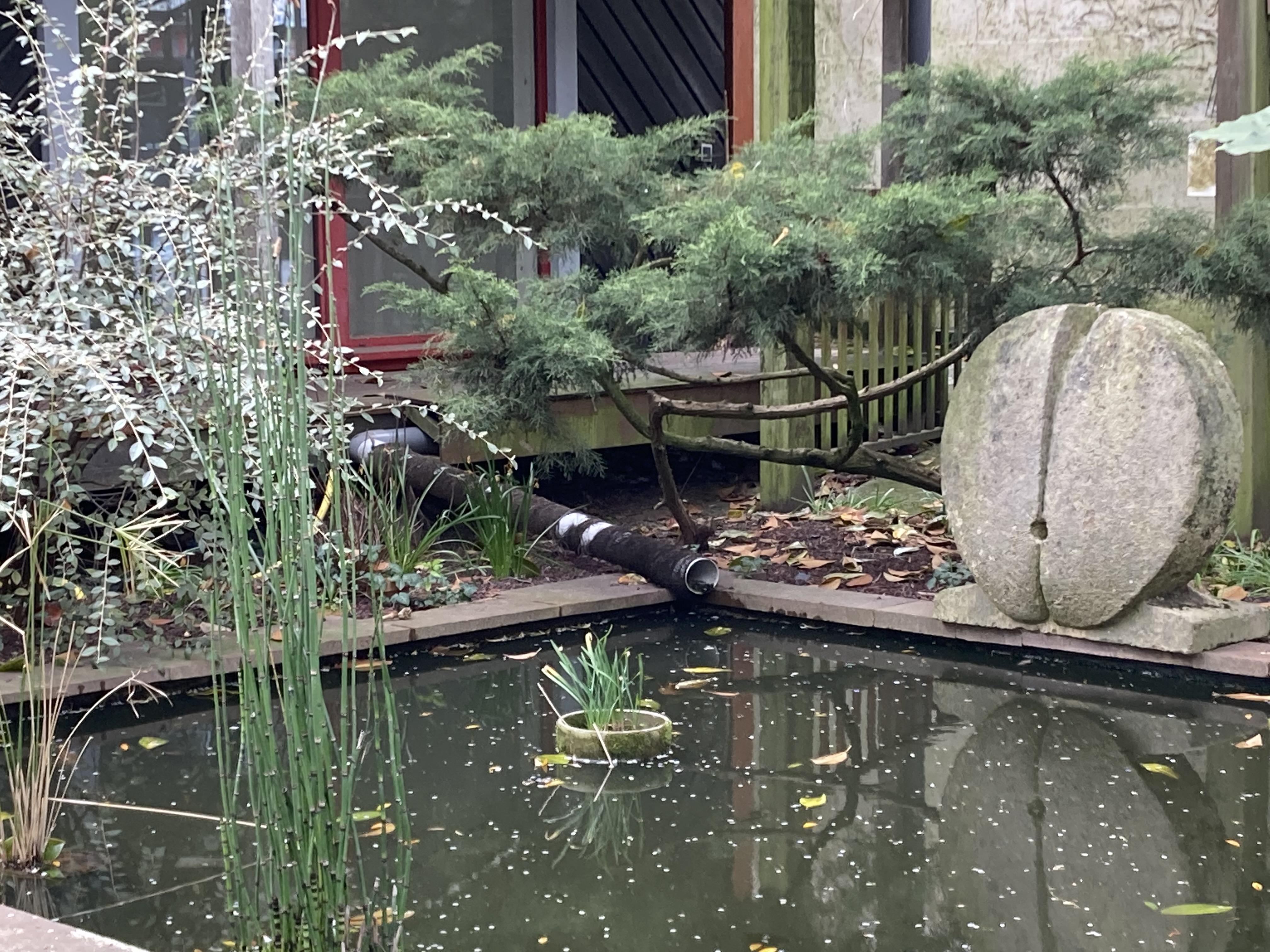 Vue sur la mosaic du jardin intérieur